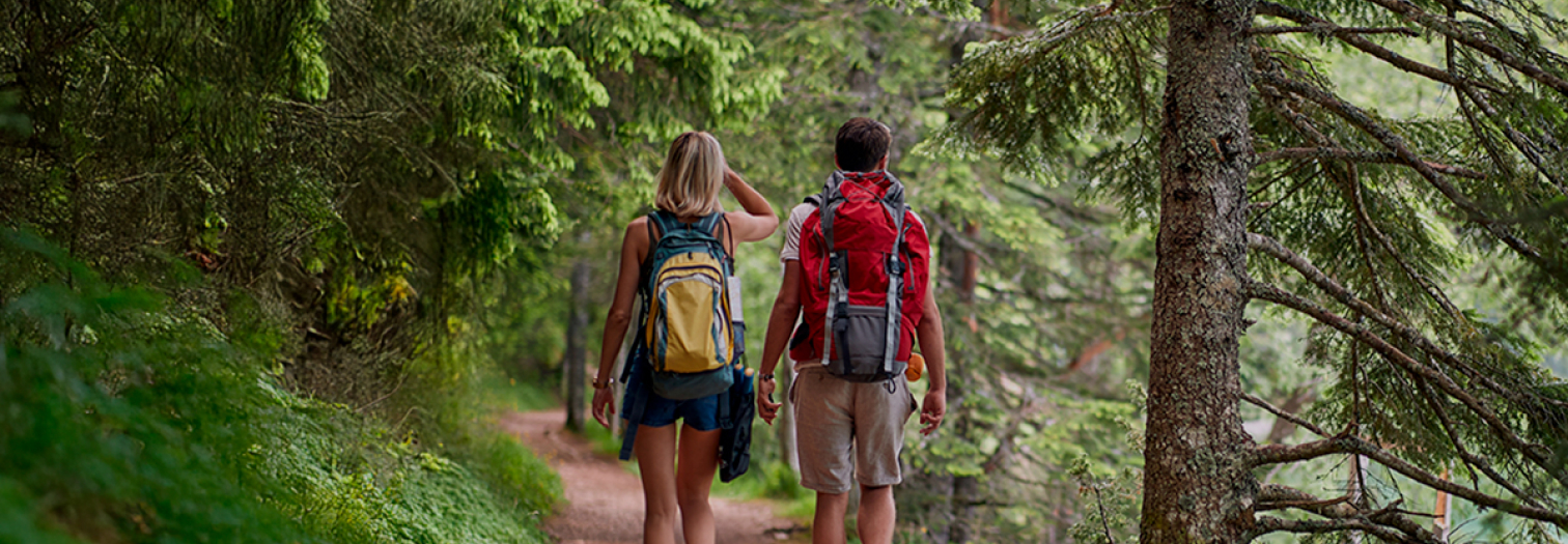 Turismo sostenible ya no es una tendencia, es una realidad
