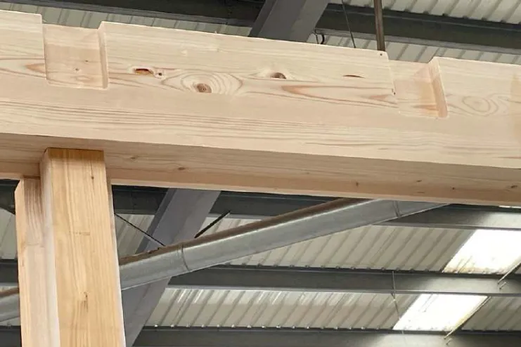 Estructura principal